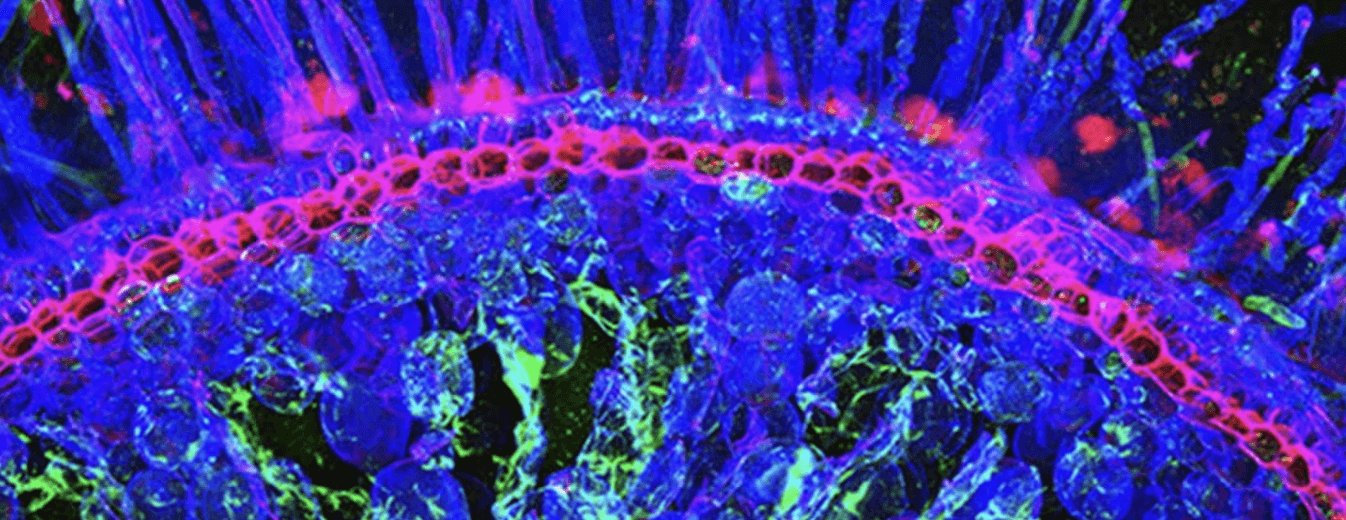 Microbiome and Biological Systems